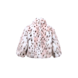 Mini Boston in Polka